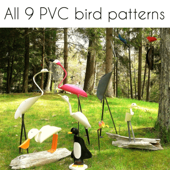 pvc pipe birds