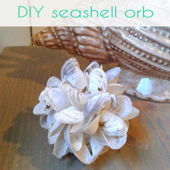 diy seashell orb