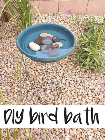 diy tomato cage bird bath