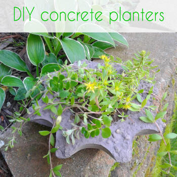 diy concrete planter