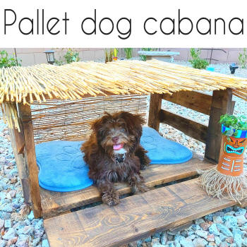 pallet dog cabana