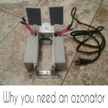 ozone generator