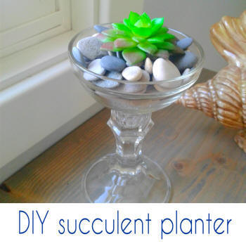 diy succulent planter