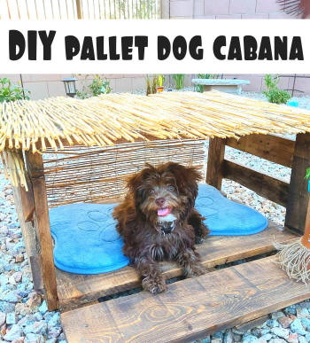 pallet dog cabana